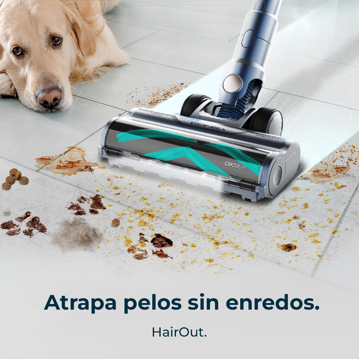 Conga Rockstar RS70 Pet Flex | Envío gratis y mejor precio garantizado – foto detalle 4